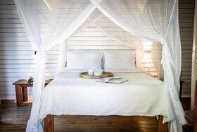 East Africa Safaris