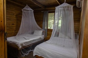 East Africa Safaris
