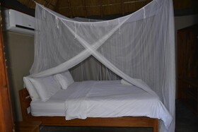 East Africa Safaris