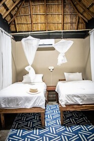 East Africa Safaris