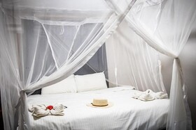 East Africa Safaris