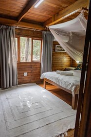 East Africa Safaris