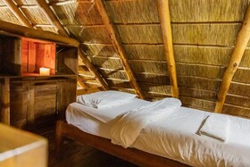 East Africa Safaris