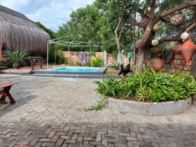 East Africa Safaris