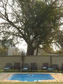 Chobe River Camp