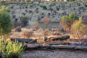 Eagle Rock  Guest Farm