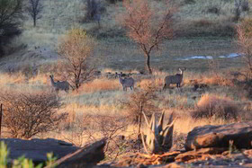 Eagle Rock  Guest Farm