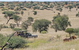 Intu Afrika Kalahari Suricate Tented Lodge