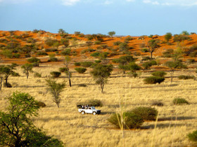 Intu Afrika Kalahari Zebra Lodge