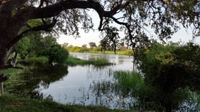Shankara Rest Camp