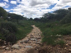 Ripley's Self-Catering Camp Windhoek