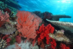 Sheraton New Caledonia Deva Resort & Spa