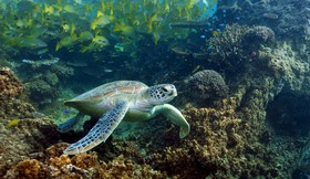Sheraton New Caledonia Deva Resort & Spa