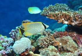 Sheraton New Caledonia Deva Resort & Spa