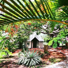 Naina Park Resort
