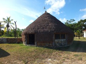 Fenepaza