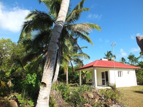 Fenepaza