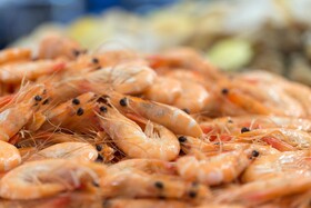 Le Méridien Noumea Resort & Spa