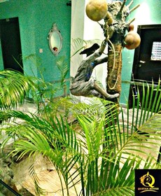 Quztan Suites Ibadan