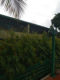 Manuela Residence