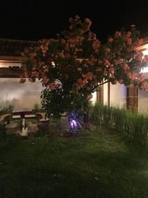 Hotel Antigua Estación Granada