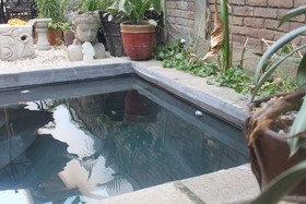 Mandalas House