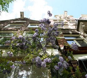 Casa Luna