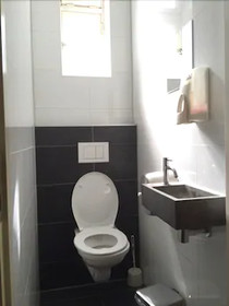 Euphemia Budget Old City Canal Zone