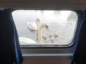 Hotelboat Iris