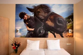 Hotel Iron Horse