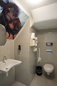 Hotel Iron Horse