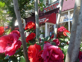 Hotel Isis