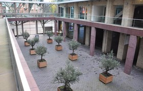 Hotel Mosaic