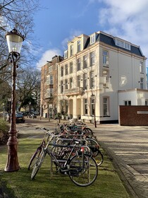 Spinoza Suites