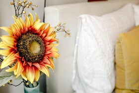 Sunflower B&B Amsterdam