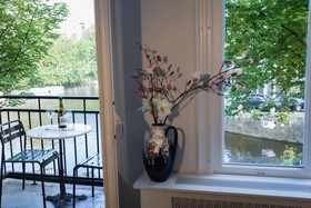 Tulipa
