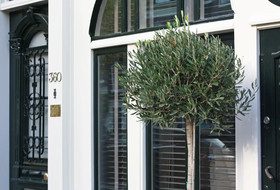 Villa360
