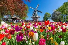 ibis Styles Amsterdam Airport