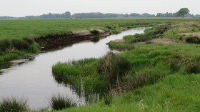't Zwanemeer