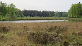 't Zwanemeer