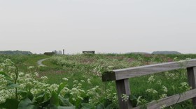 't Zwanemeer