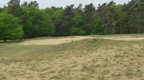 't Zwanemeer