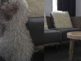 City Boutique Ster Logies Leeuwarden De
