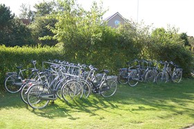 De Berkenhof