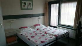 Het Wylde Pad