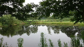 Het Wylde Pad