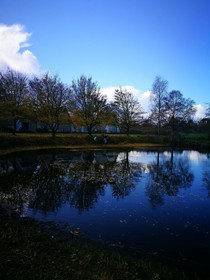 Het Wylde Pad