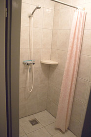 Het Wylde Pad