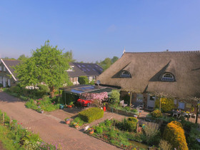 Het Wylde Pad