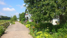 Het Wylde Pad